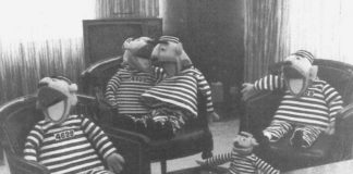 TYpes of Puppets