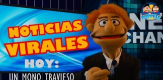 Noticias Virales: Un Mono Travieso