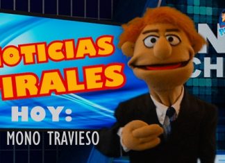 Noticias Virales: Un Mono Travieso