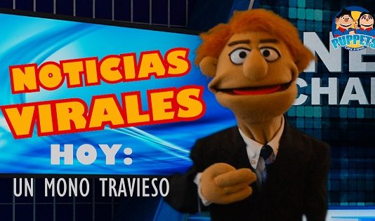 Noticias Virales: Un Mono Travieso