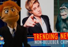 Trending News: Non-Belieber Chimps!