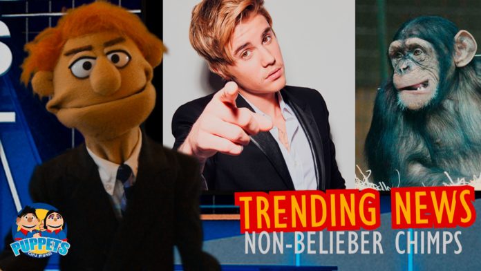 Trending News: Non-Belieber Chimps!